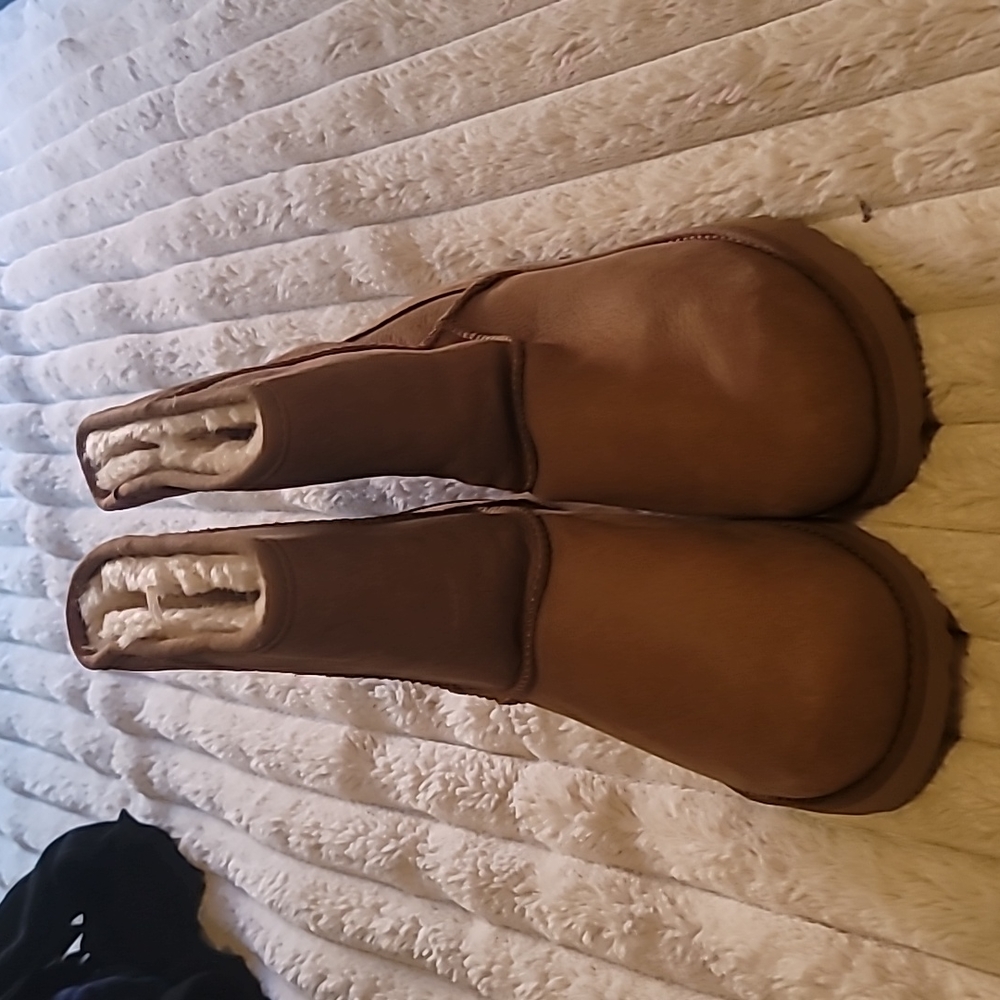 Ugga chestnut color